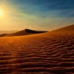 DESERT LIGHT: Awe-Inspiring Colors of the Wild