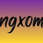 Kingxomiz: The Controversial Journey to Fame