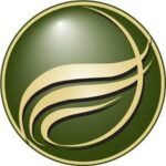 olesea-lisnic-insurance